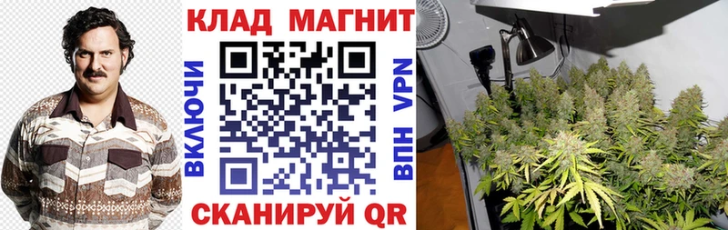 Купить наркотик Козельск Конопля  СК  Меф мяу мяу  КОКАИН 