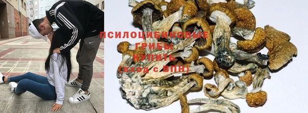 спайс Балабаново