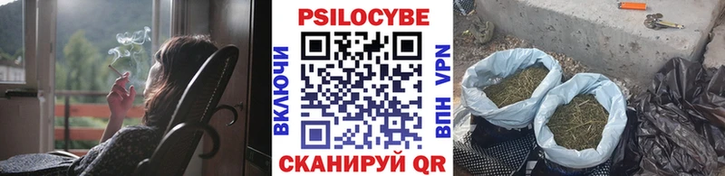 где купить   mega ссылка  Псилоцибиновые грибы MAGIC MUSHROOMS  Козельск 